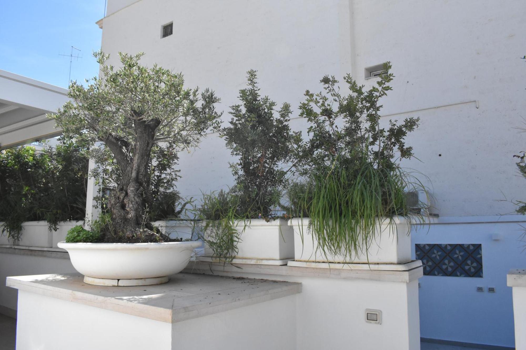 Saint Barth Guest House - Charming Rooms In Bari Dış mekan fotoğraf