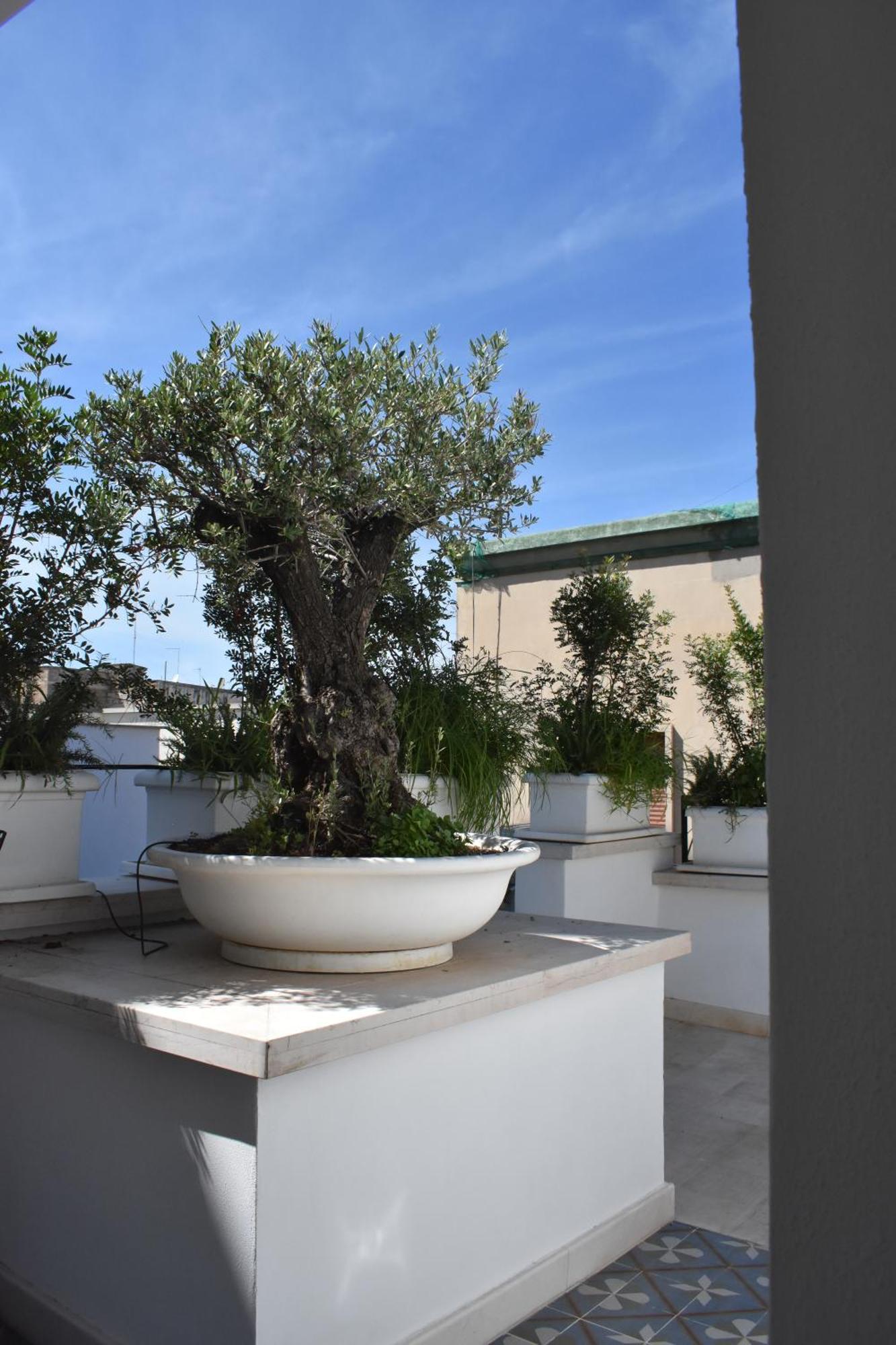 Saint Barth Guest House - Charming Rooms In Bari Dış mekan fotoğraf